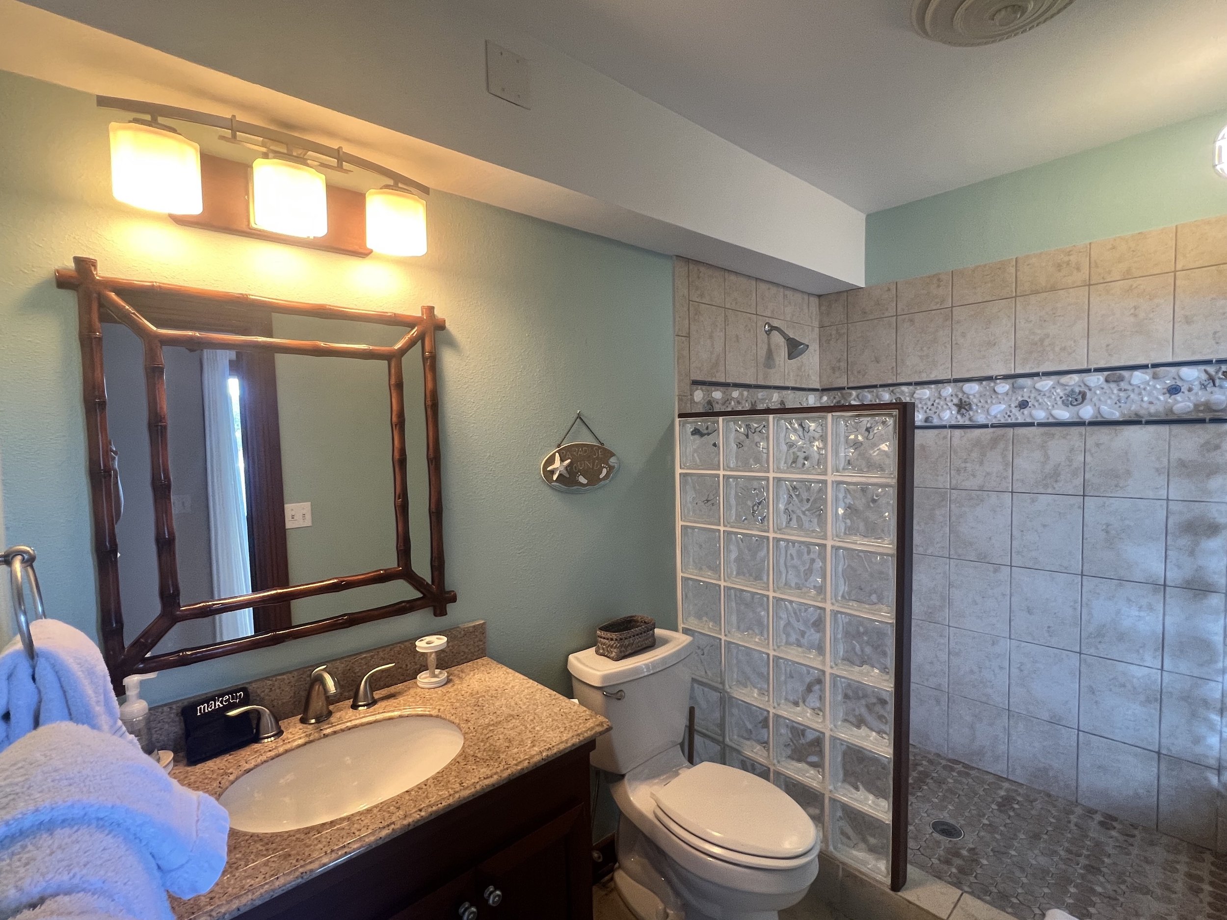 Ch downstairs bathroom vanity and shower space.jpg