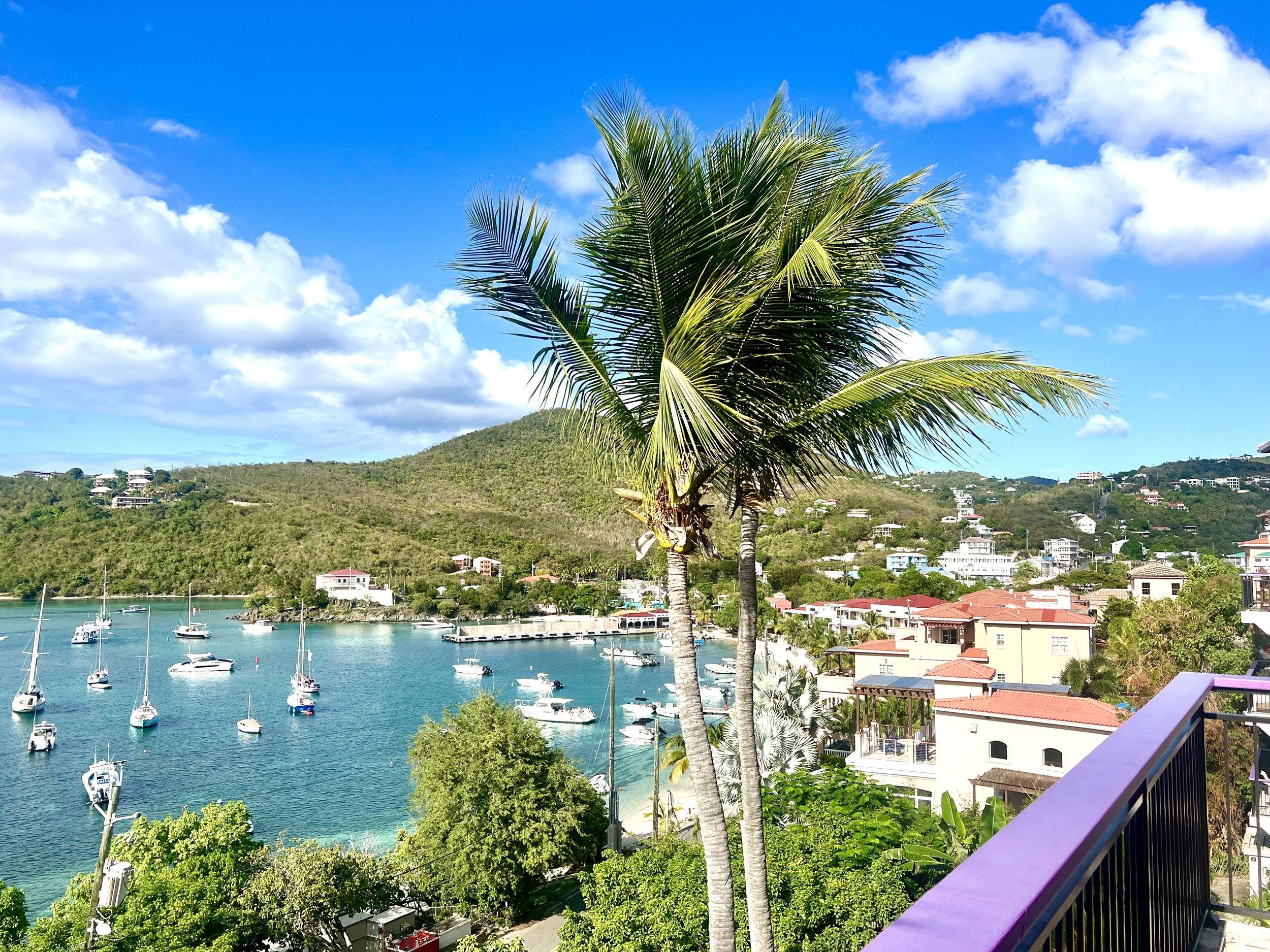 Ferry Dock from Bayview Penhouse.jpg