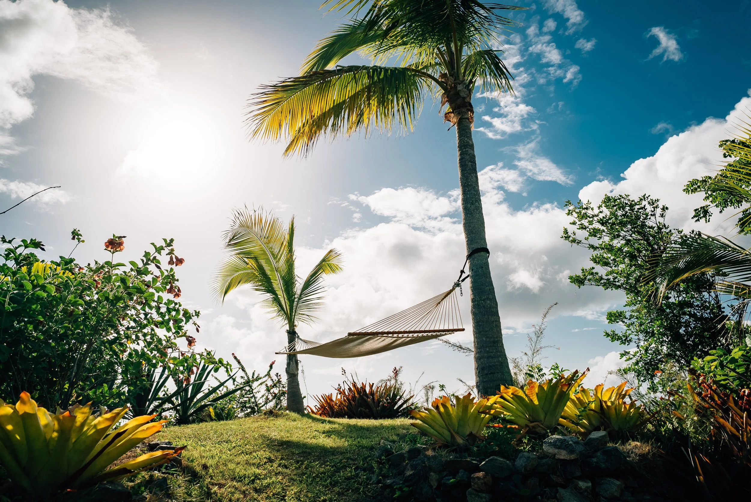 Hawksview estate_Hammock.jpg