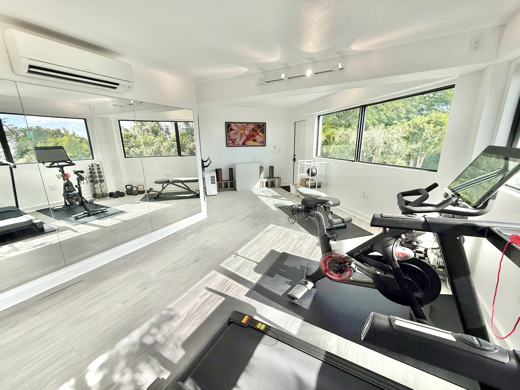 Villa Panache gym with equipment and smart tv