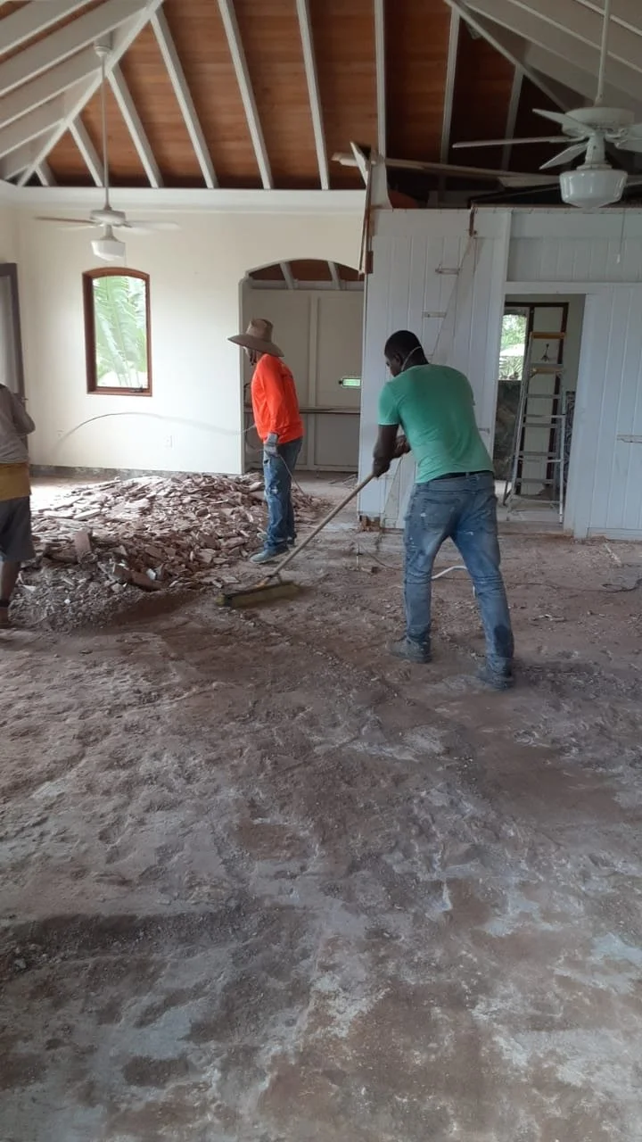 tropical-manor-demo-01.jpg
