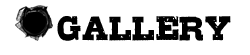 GALLERY_02.png