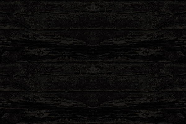 header_background.gif