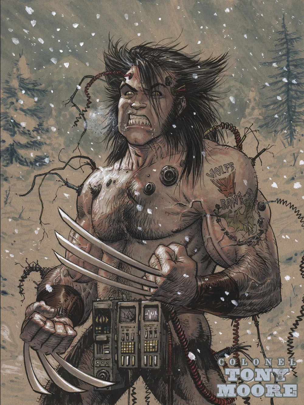 danzig_wolvie_2_web.jpg