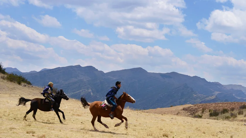 THE HORSEMAN