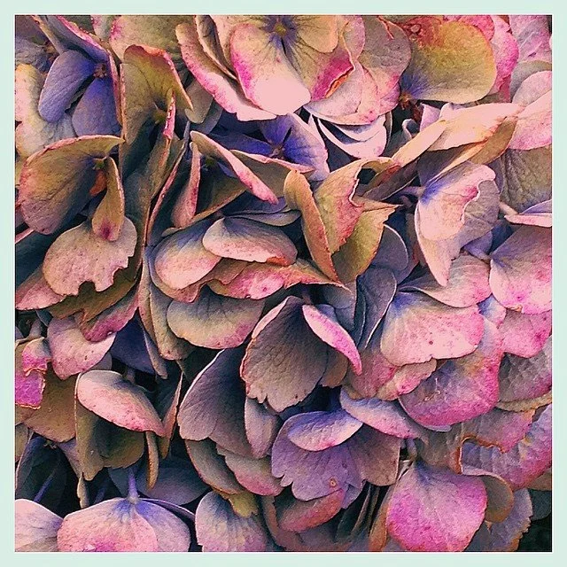 Your Transformation , our accessories 88 byNatalie Walker , , Shape Shift your  Colors intermingle  Form and Composition.  Want Exclusive Access  click the link in our Bio . ❤️❤️💕❤️💕❤️💕❤️💕❤️❤️❤️💕❤