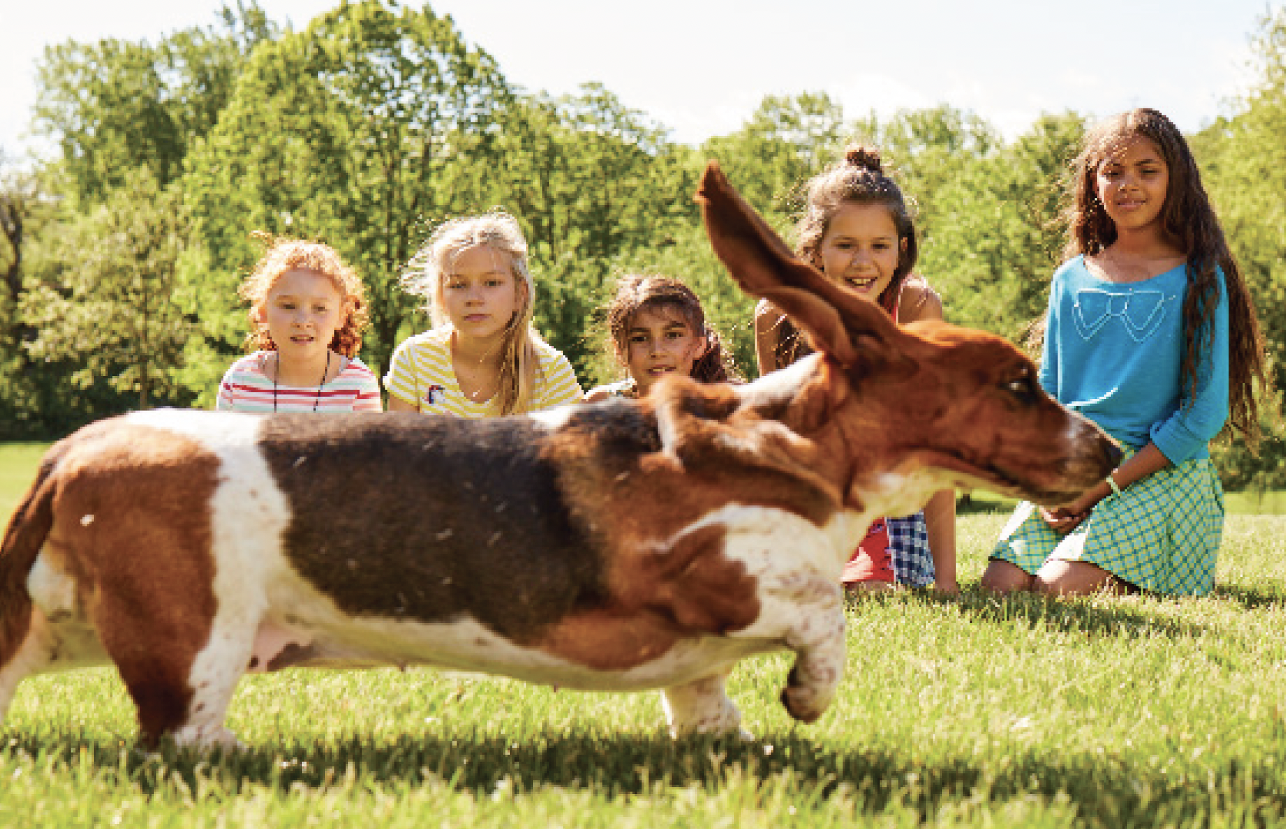 Screen Shot 2021-10-04 at 4.40.24 PM.png