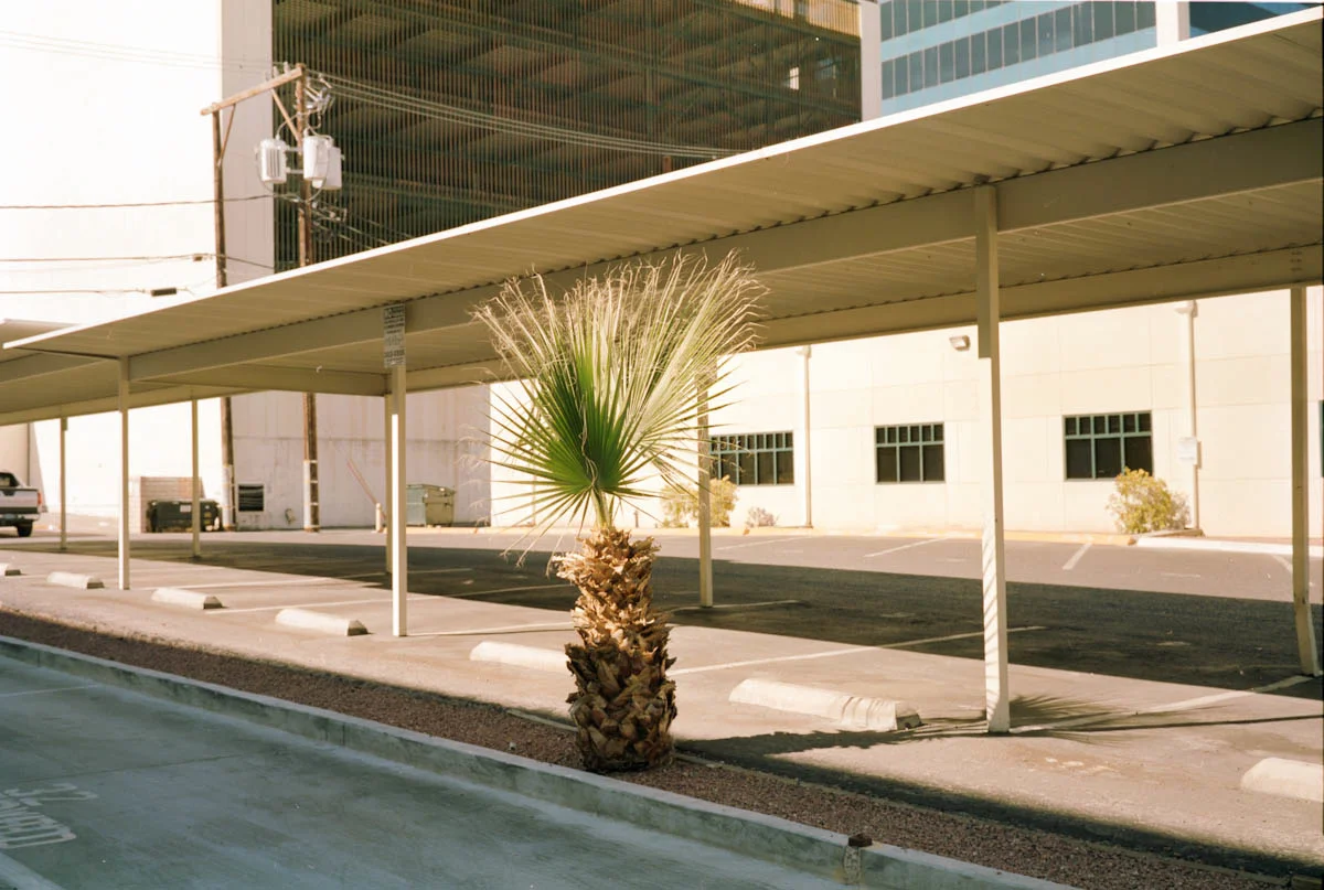 Minik_Vegas-20.jpg