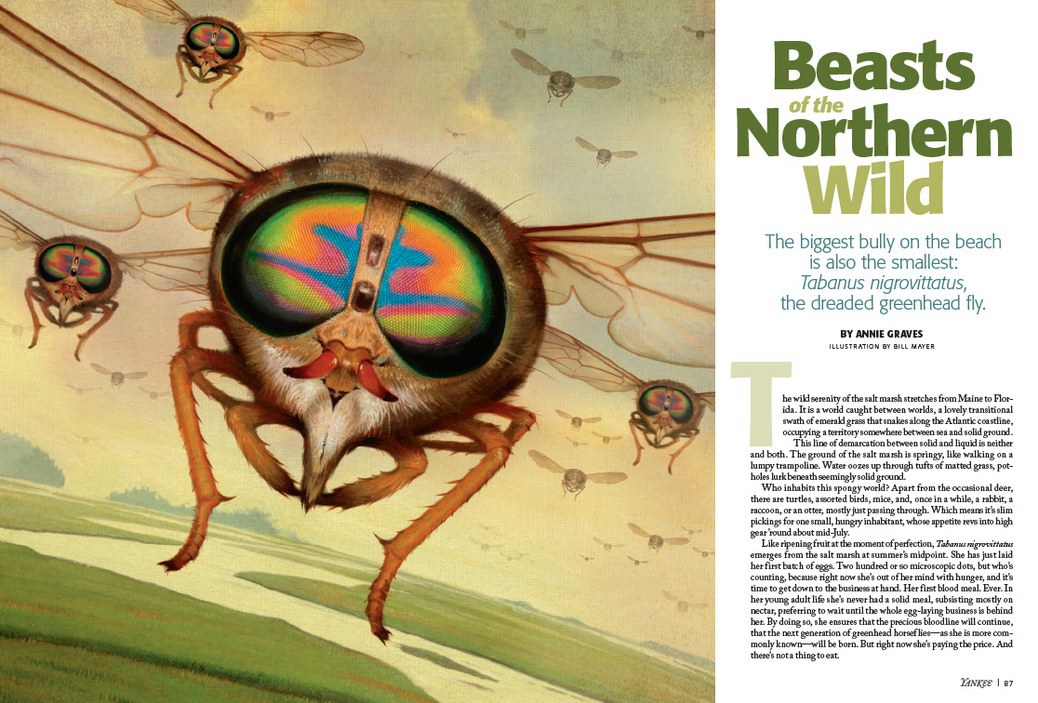 Art Direction + Design: Lori Pedrick Illustration: Bill Mayer