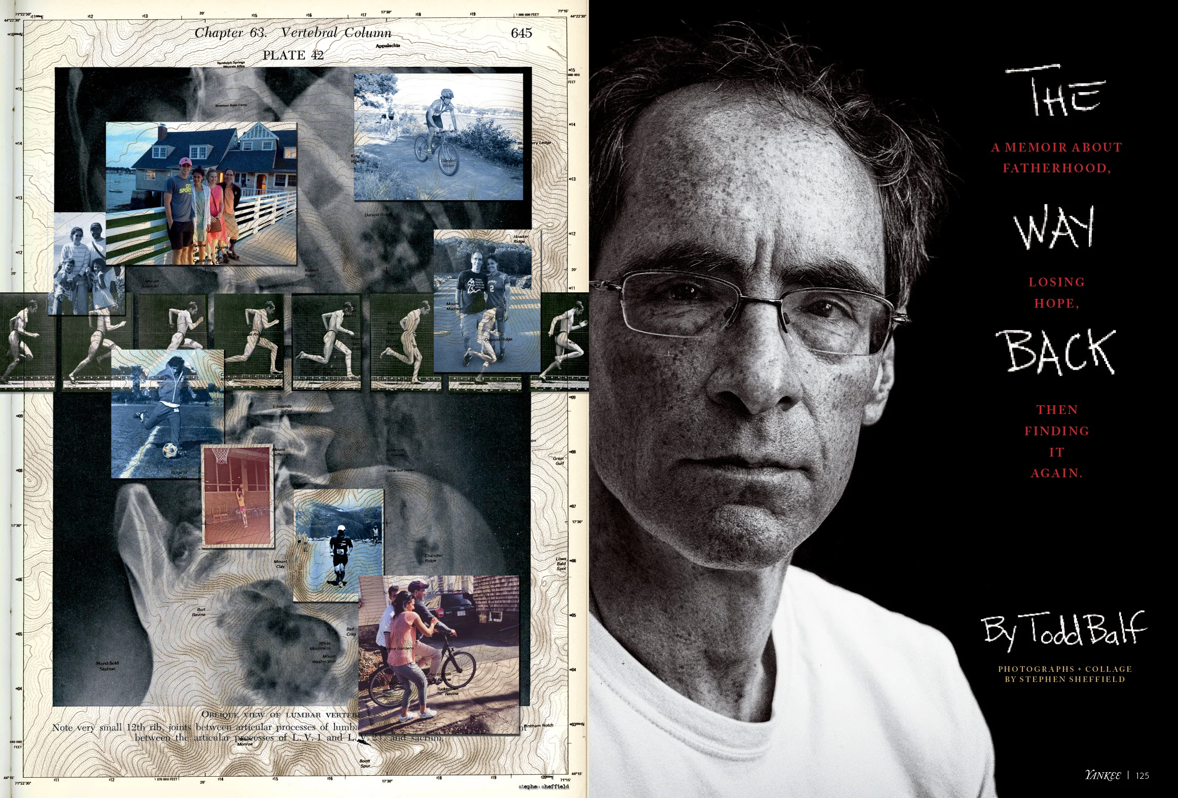 Art Direction + Design: Lori Pedrick Photography + Collage: Stephen Sheffield