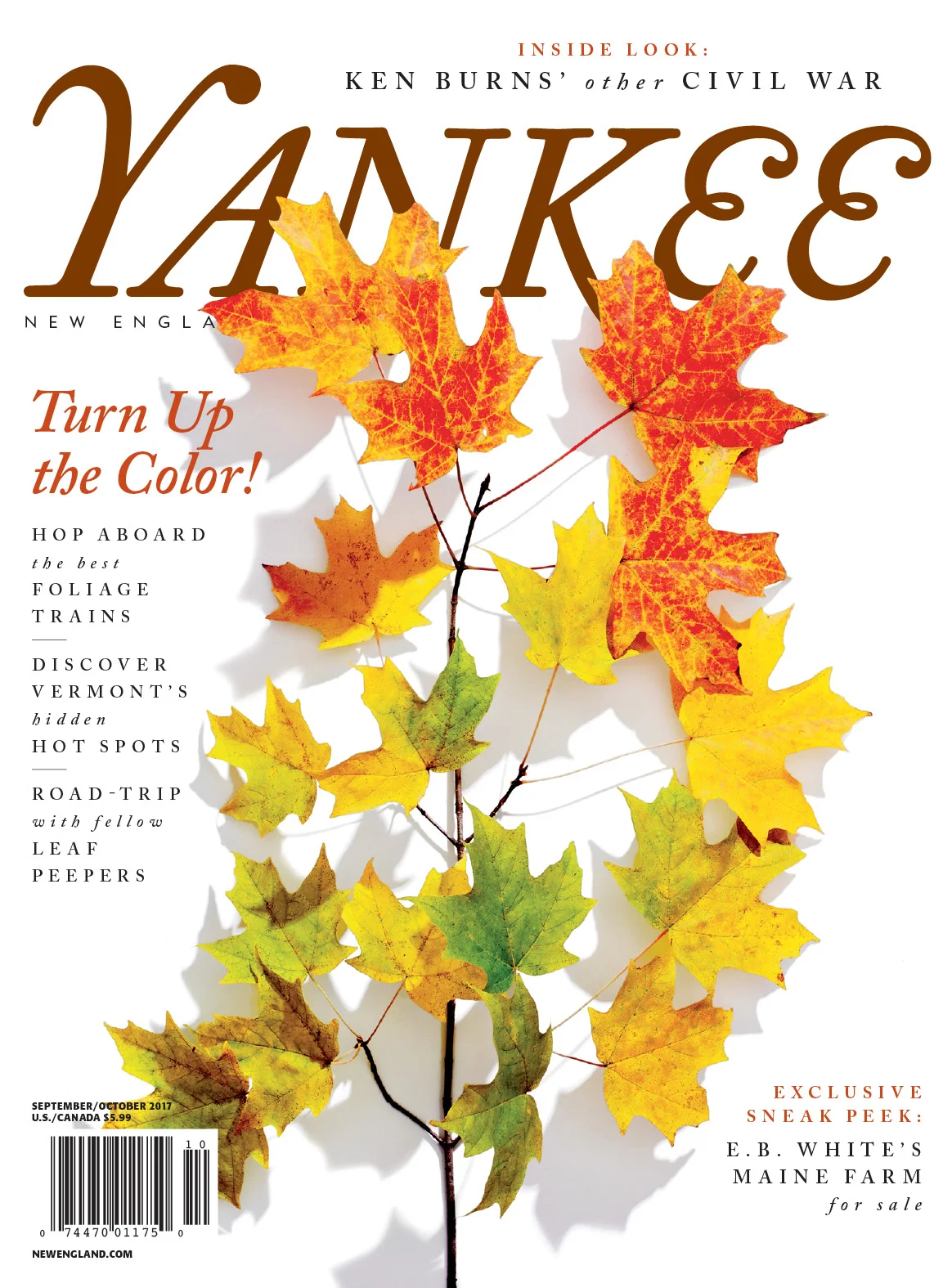 Art Direction + Design: Lori Pedrick Photograph by Michael Wilson