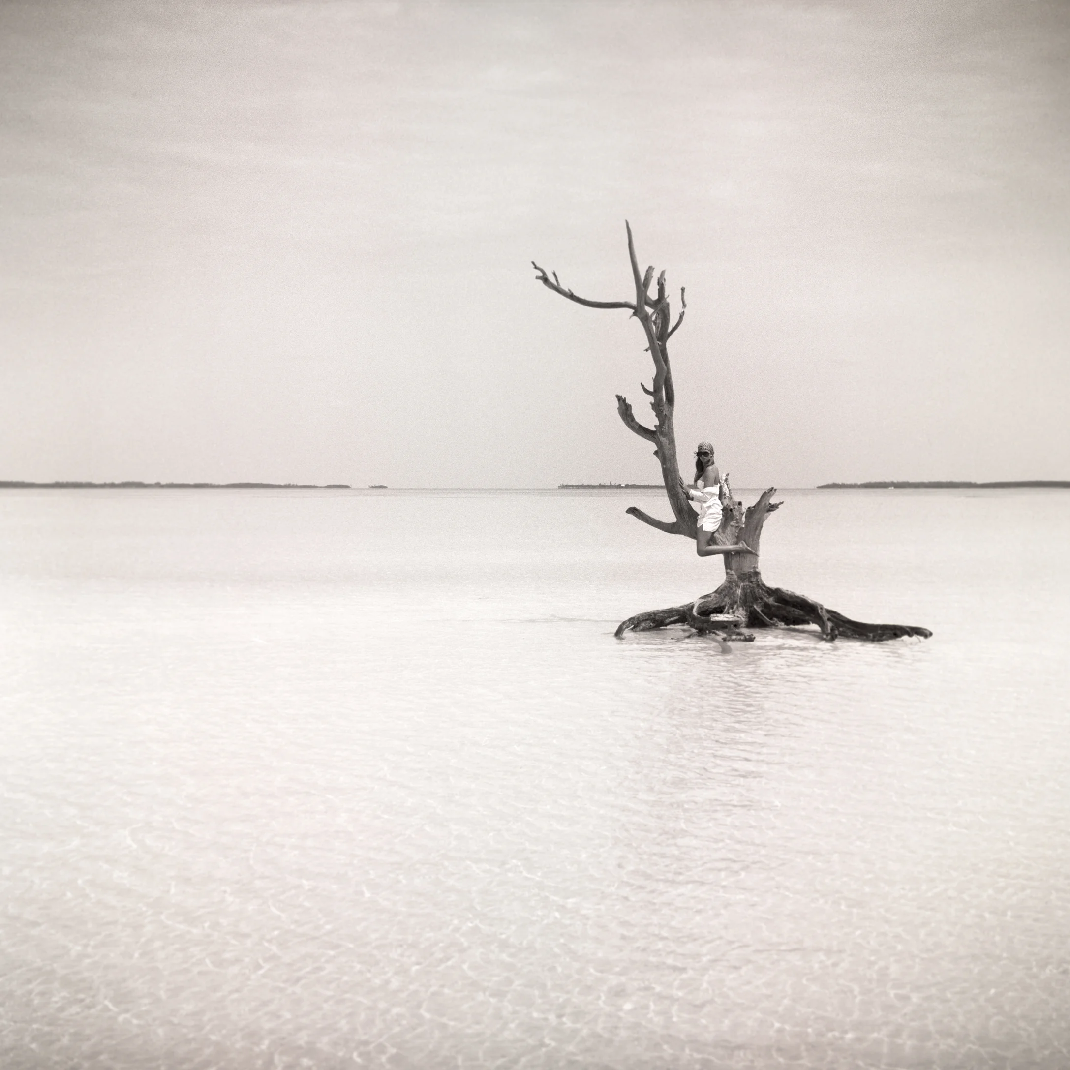 MollyWaterTree.jpg