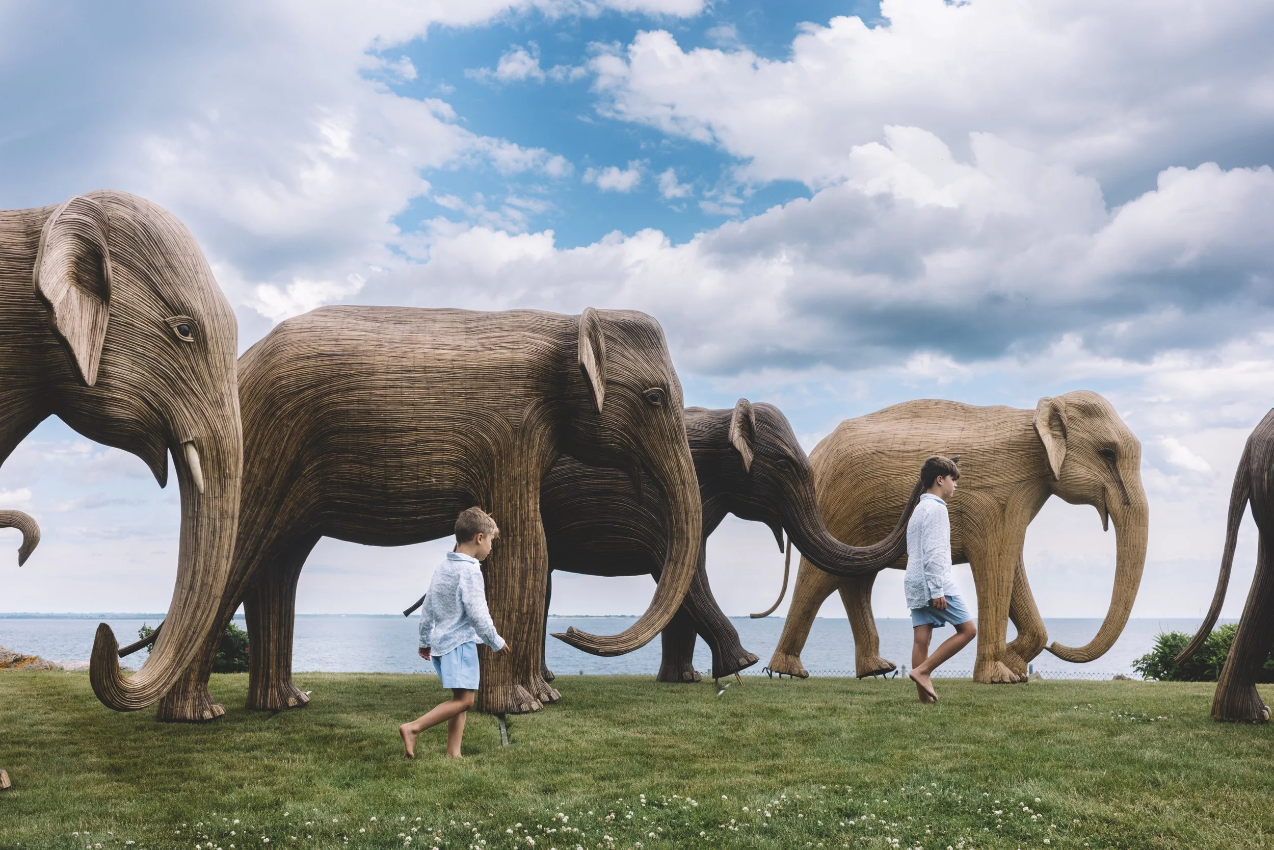 ElephantSocial_002.jpg