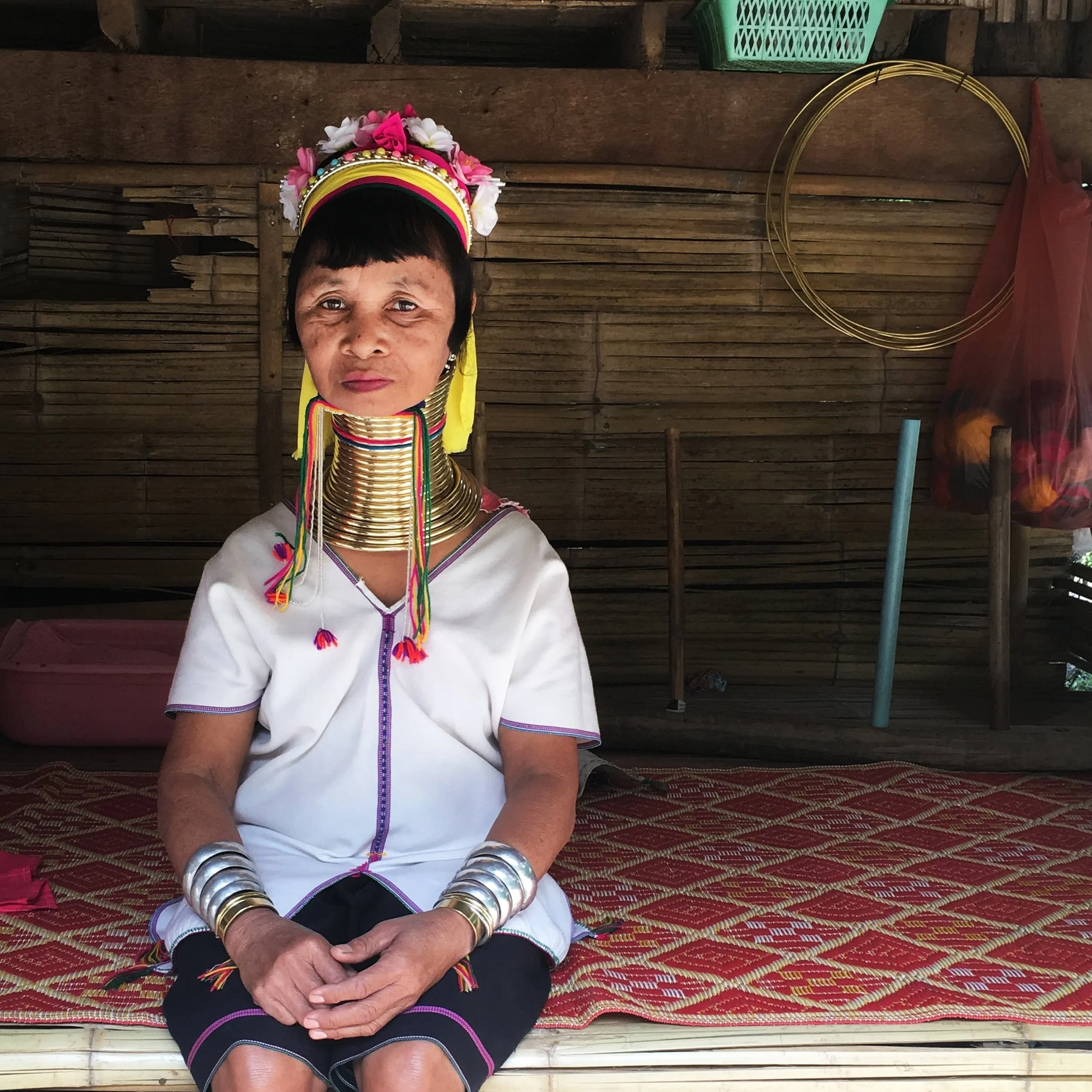 Thailand_longnecked.jpg