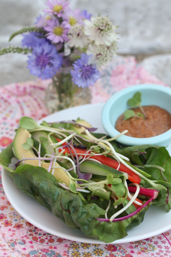 http://www.alkalinesisters.com/raw-veggie-chard-wrap-with-ancho-chili-dip-the-balancing-act-of-alkalizing-daily/3522/ 