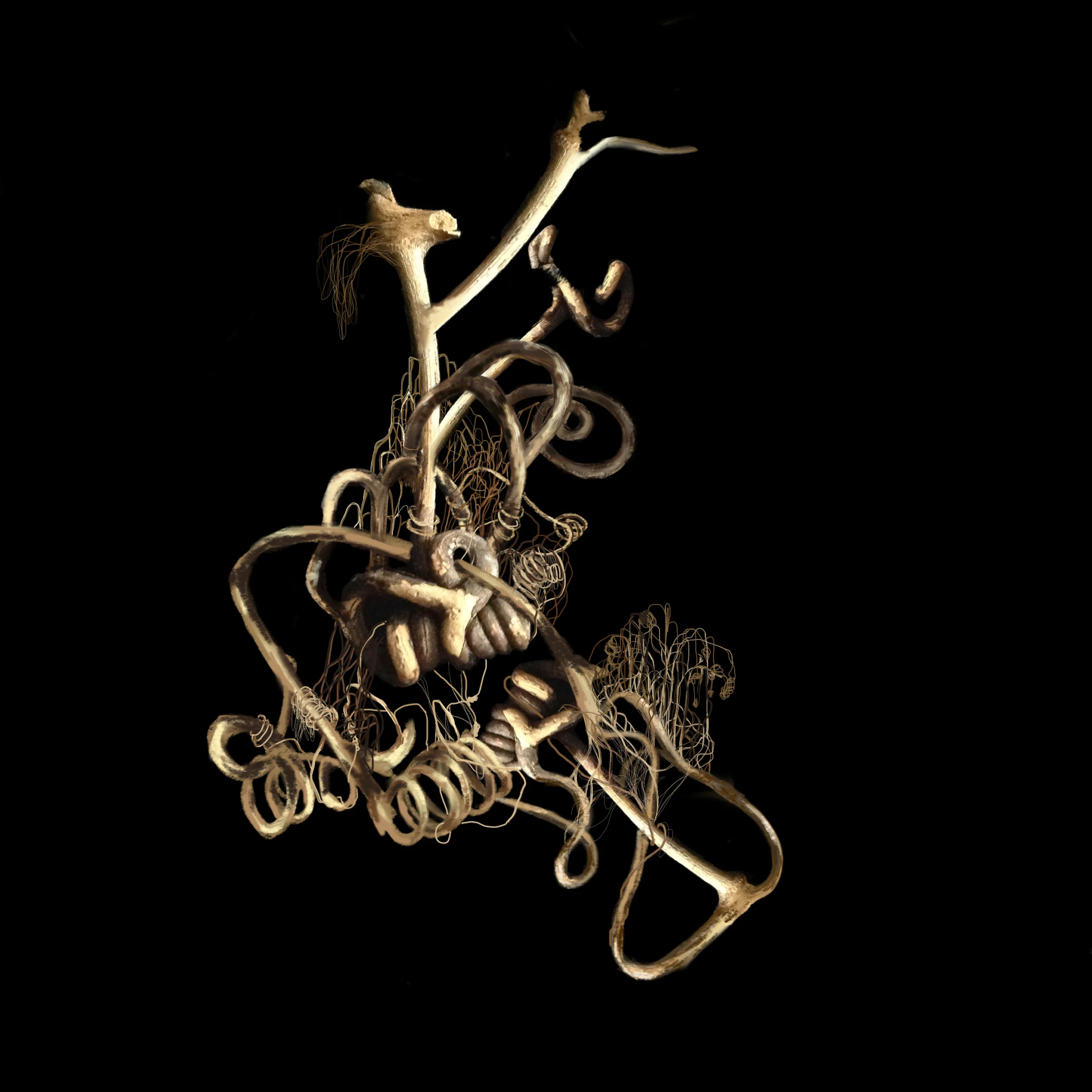 Branch