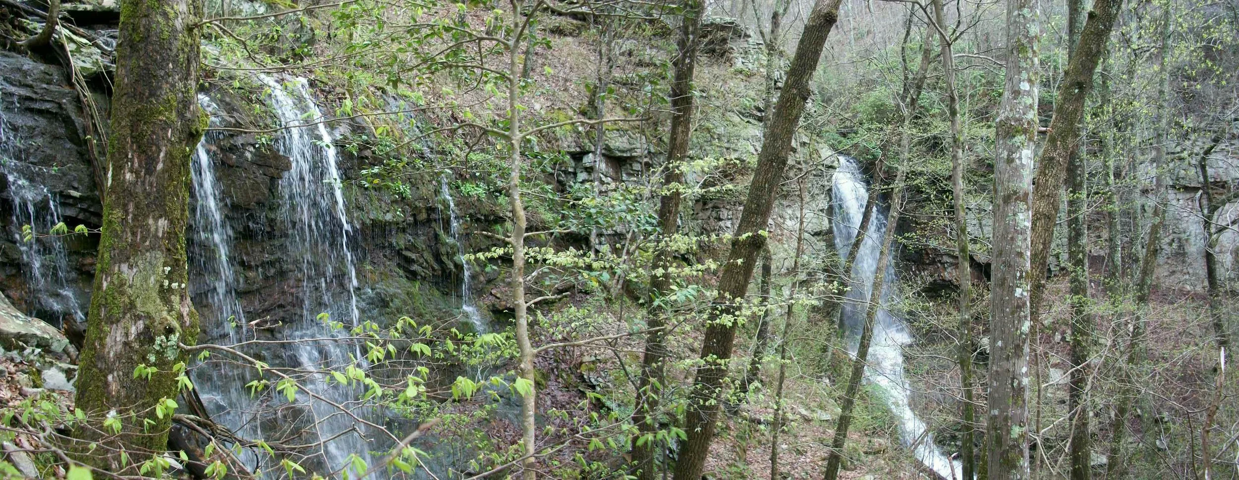Johnny's Creek - Falls