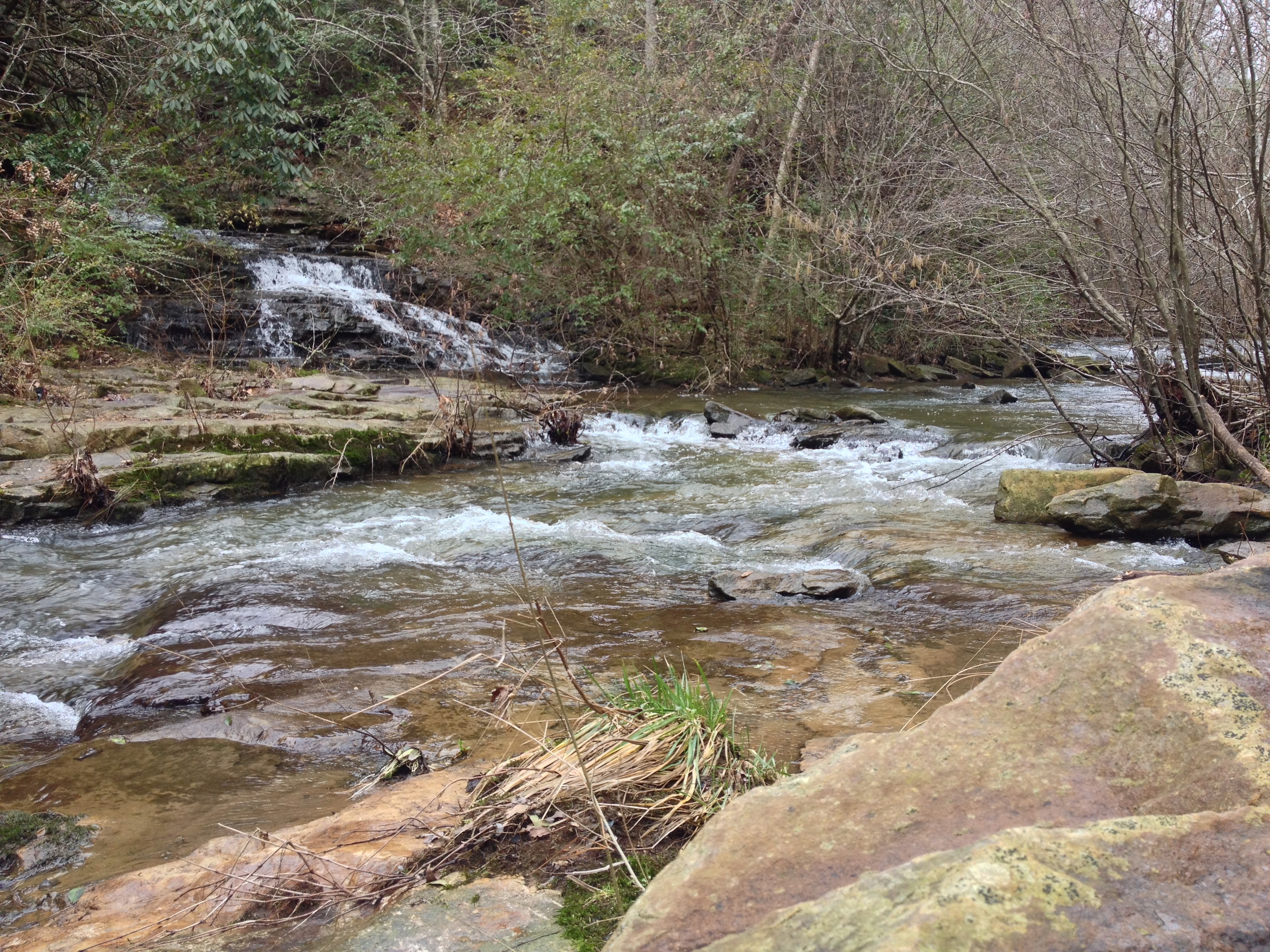 Chinquapin Creek