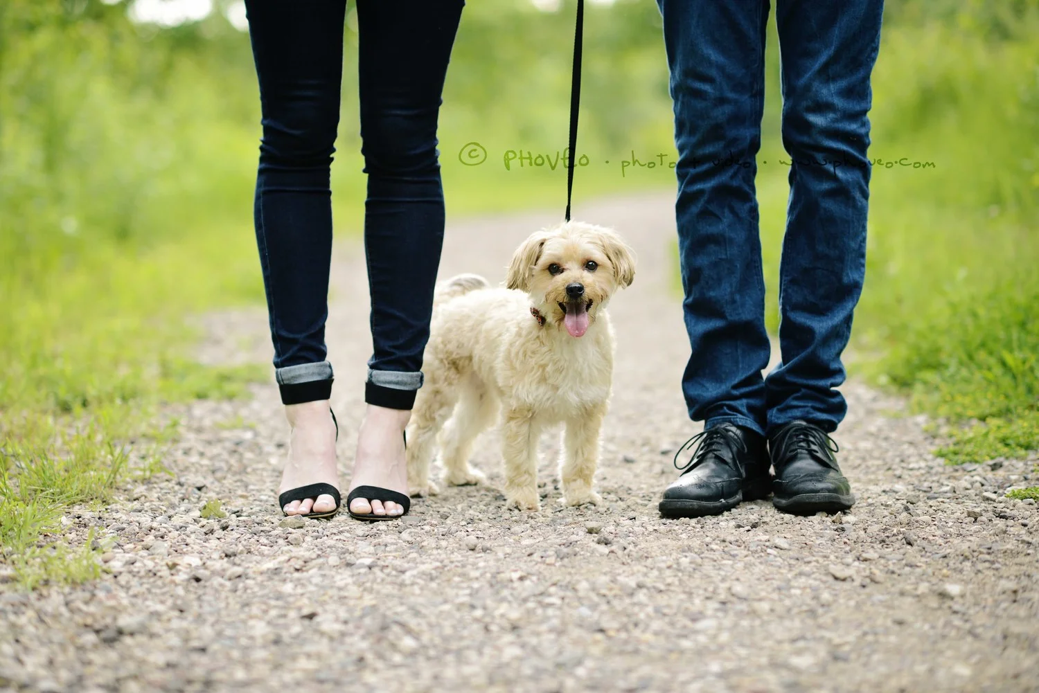 Shelby + Anthony