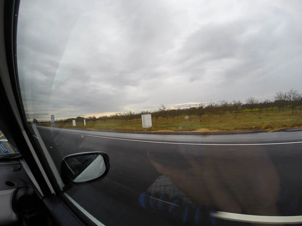 G0680731.jpg