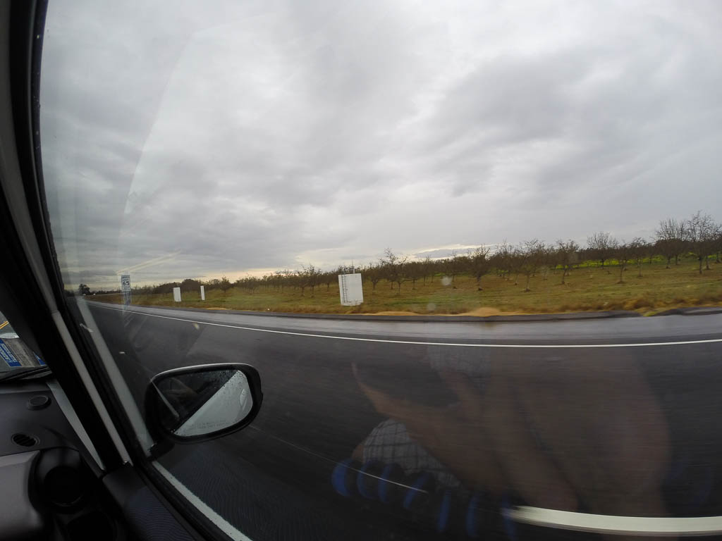G0680731.jpg