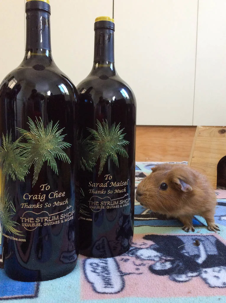 wine.jpg