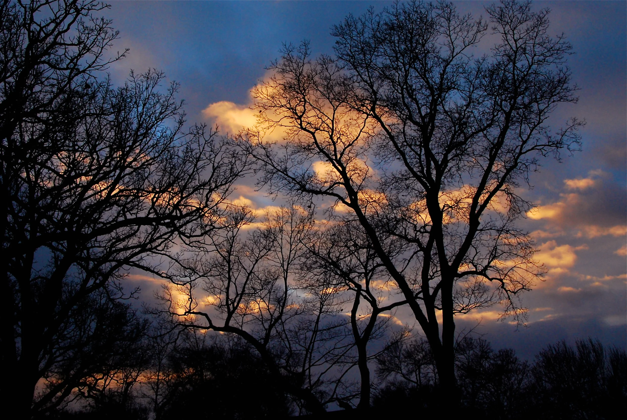 DSC_0027.jpg
