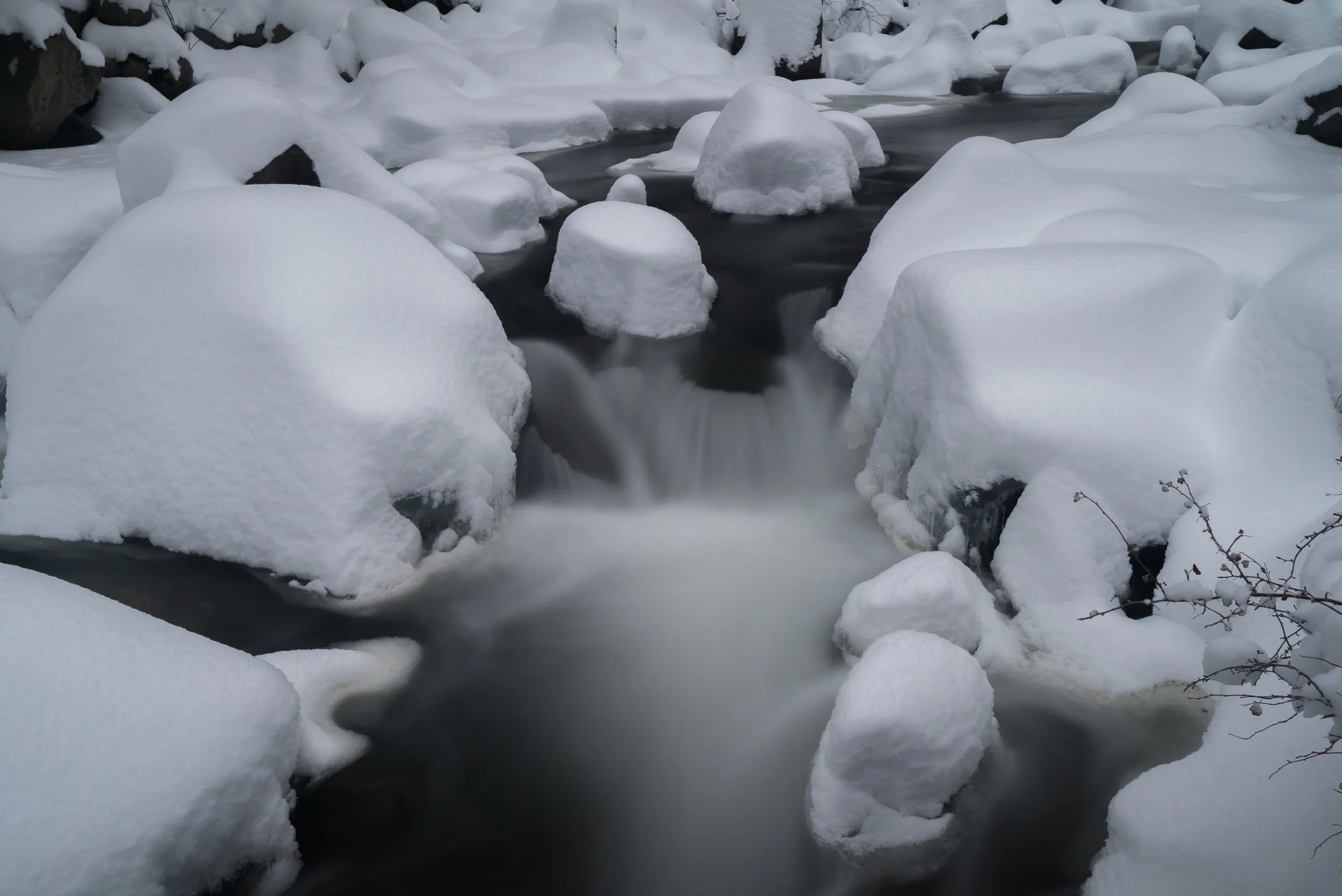 _DSC9919.jpg