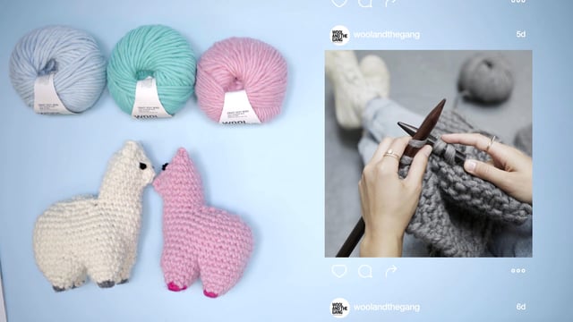 Growing a Business on Instagram: Wool and the Gang