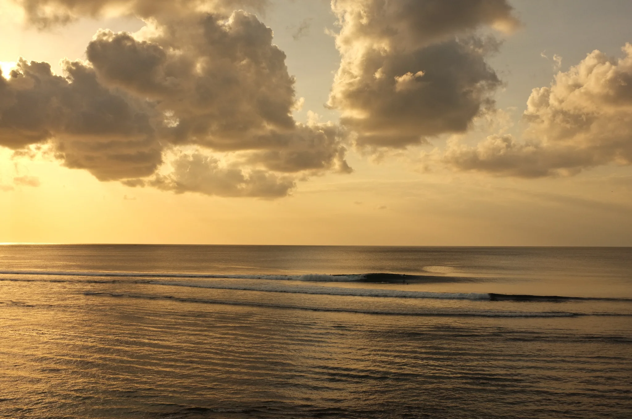 DSCF2630.jpg
