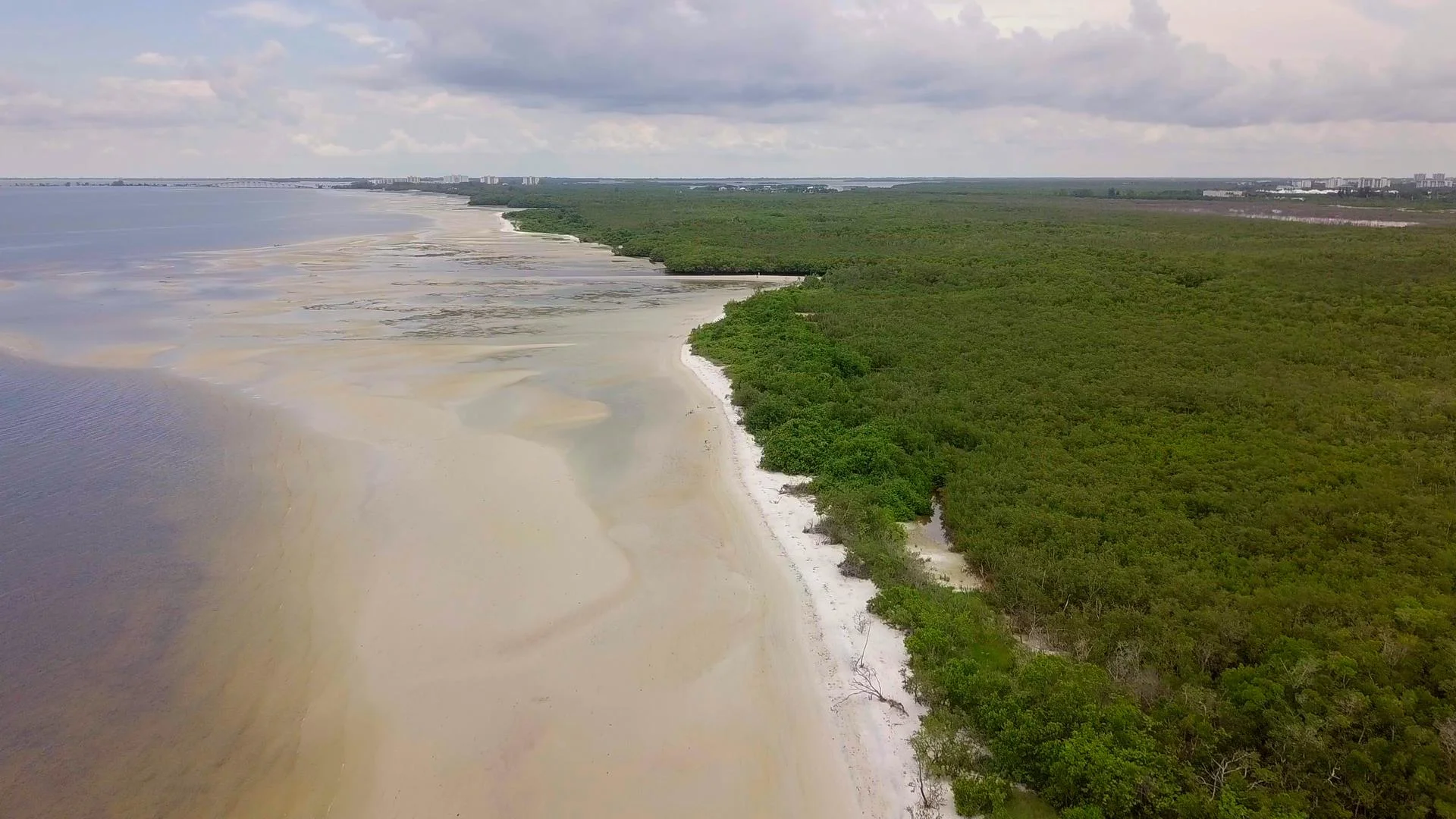 V1-0006_DJI_0003_00050300.JPG