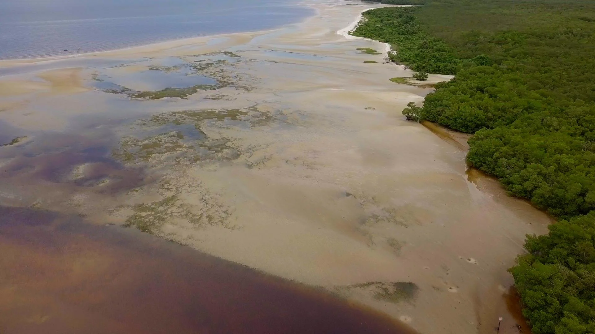 V1-0006_DJI_0003_00060026.JPG
