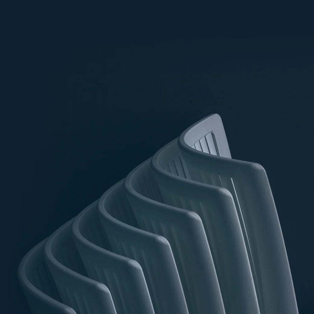   The line of the backbone  