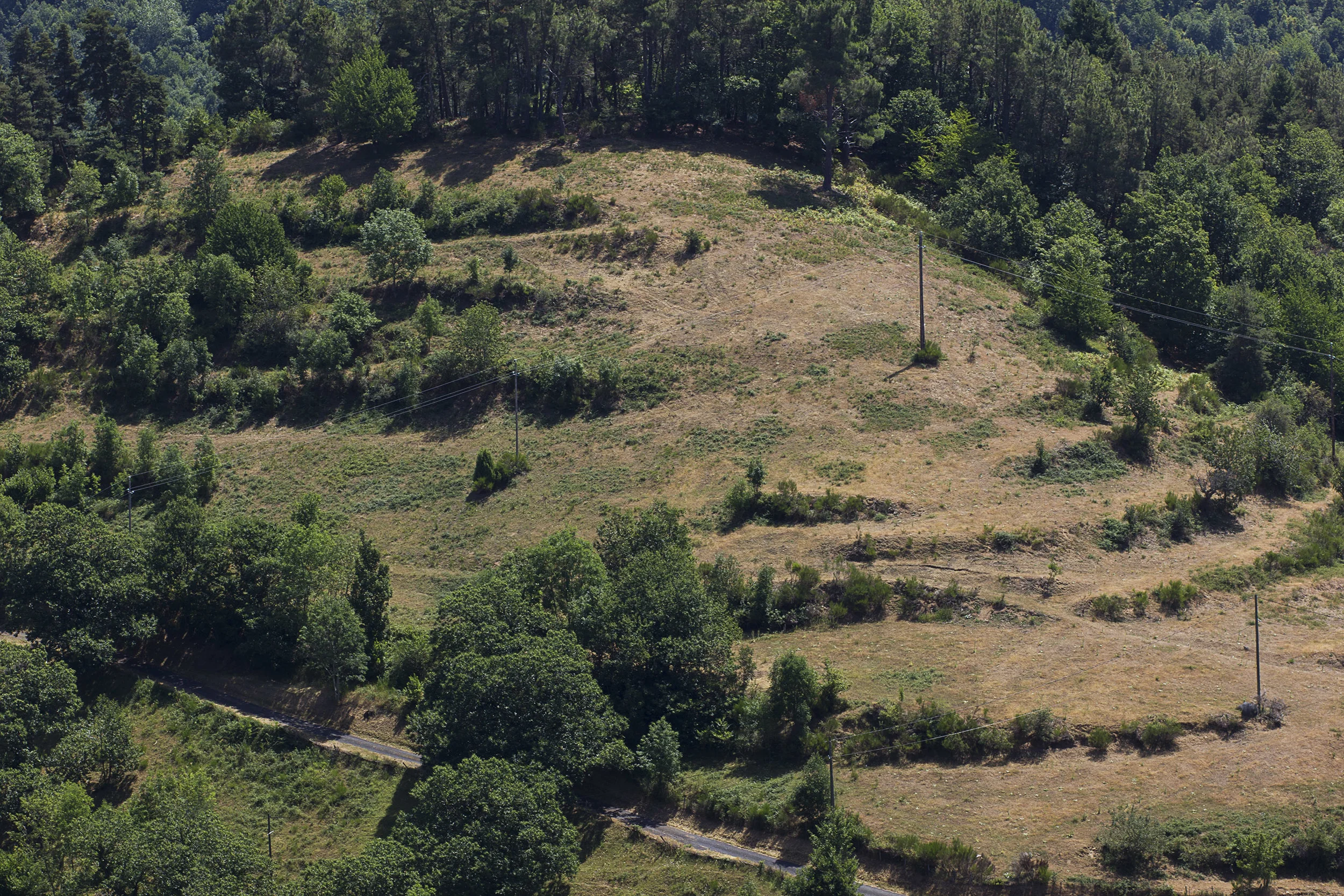   Mountain   