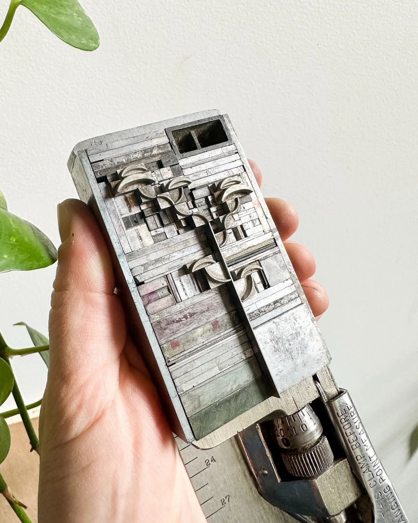 Happy Arbor Day! Here at Gingerly Press, we are a BIG fan of trees and all they do for the environment! 
⠀⠀⠀⠀⠀⠀⠀⠀⠀
As of January 2026, we have planted over 4,200 trees thanks to your support! 🌲🌳🌴
⠀⠀⠀⠀⠀⠀⠀⠀⠀
We have been a member of the Sapling Prog