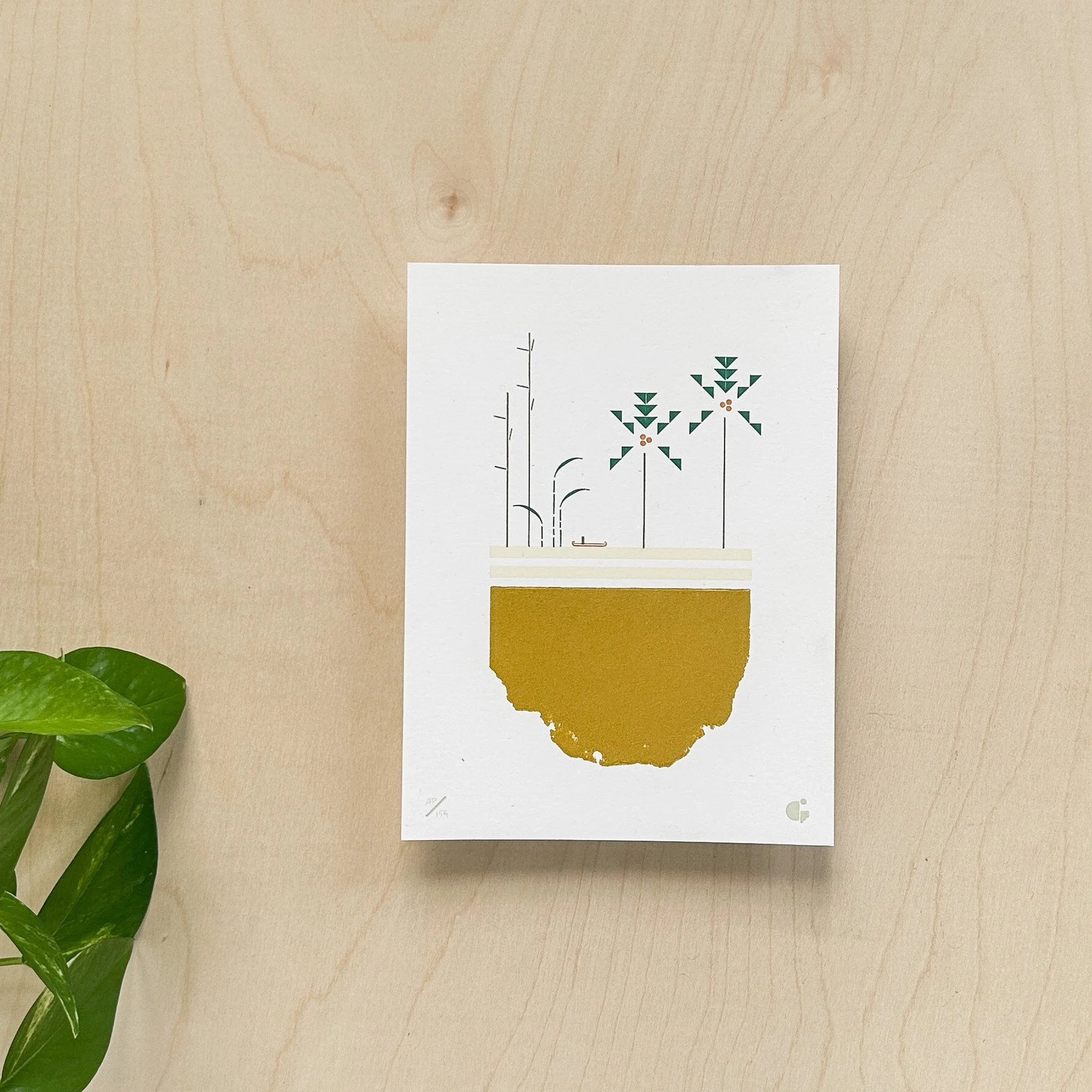 6 x 8" The Aguajal Print SECONDS 01