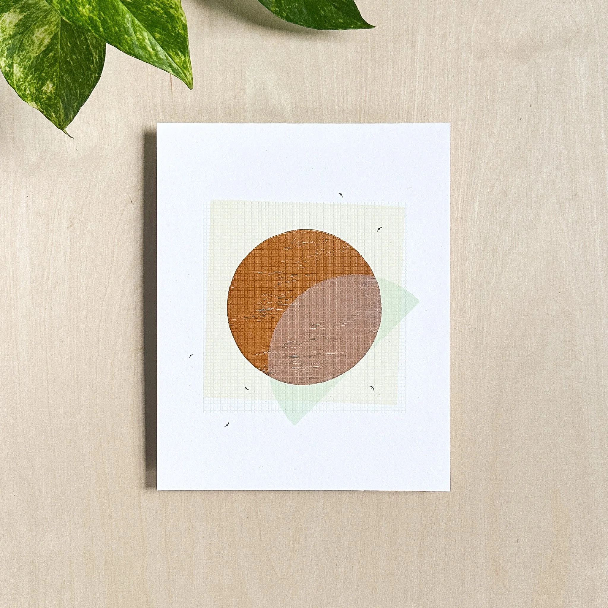 8 x 10" Solar Symmetry Print SECONDS 02