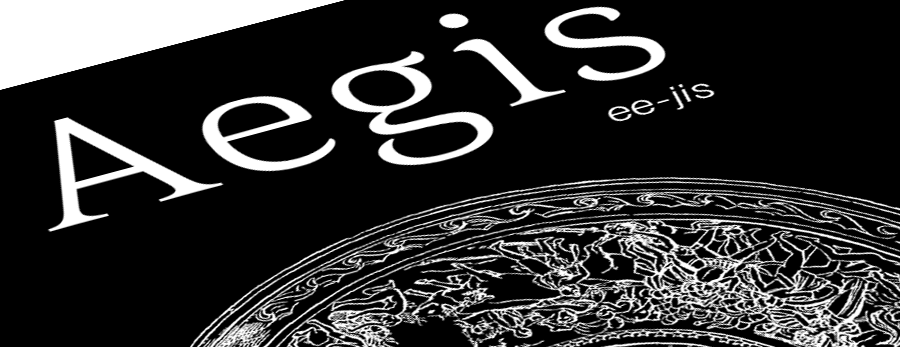 Aegis banner