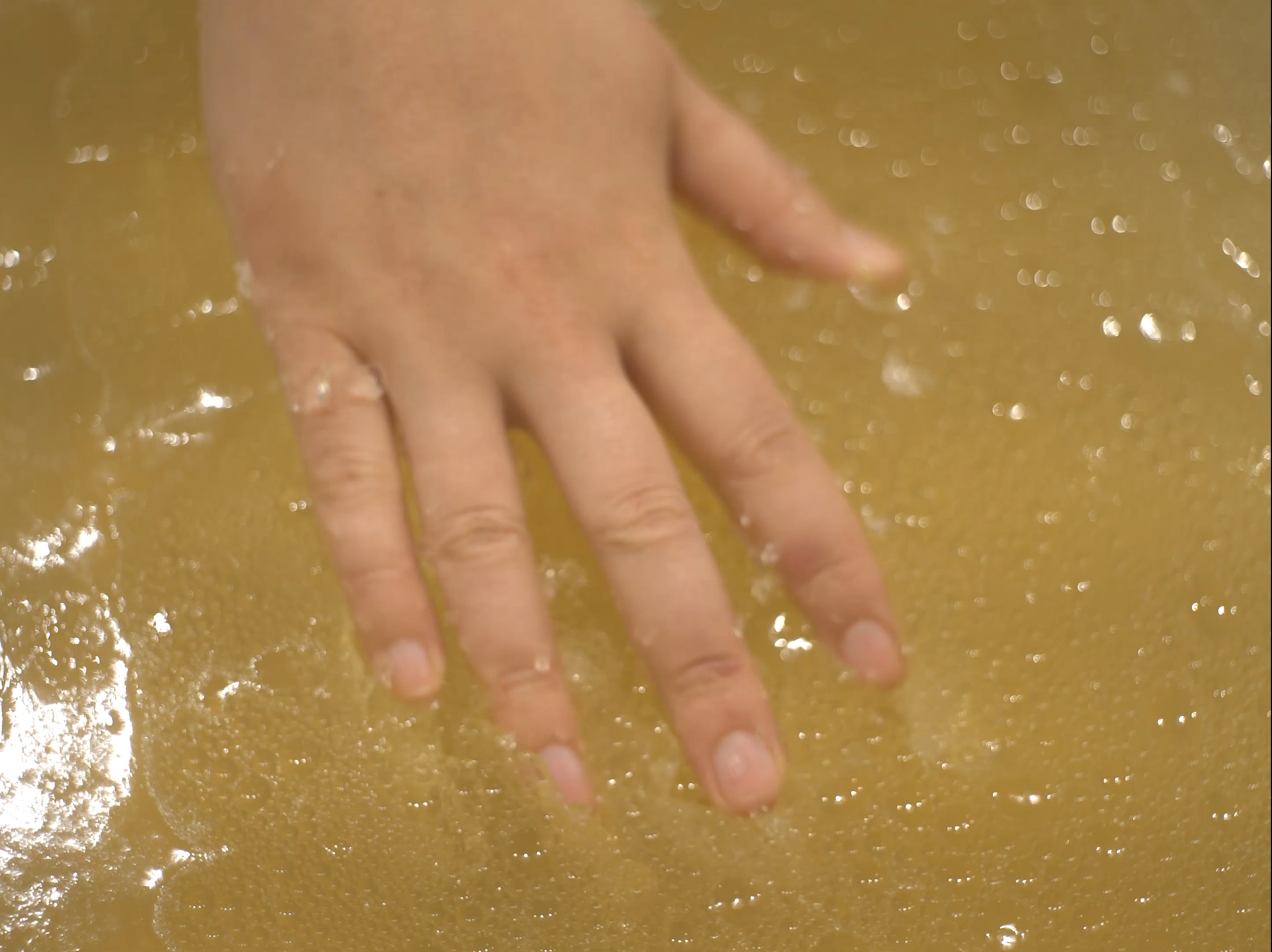 The New Joys of Gellies