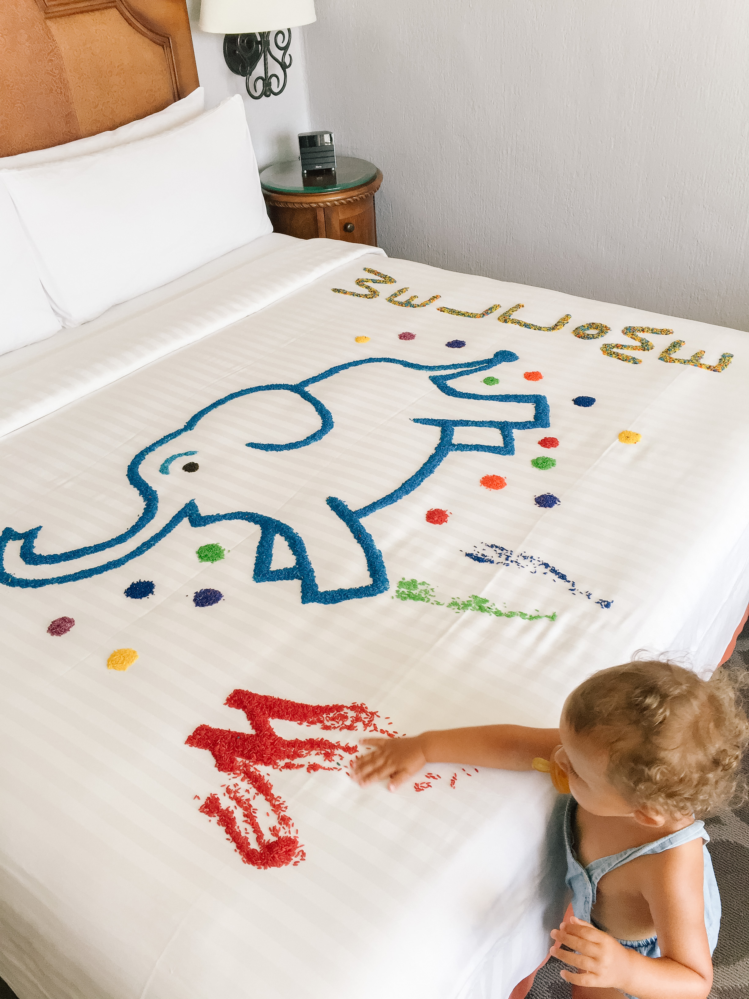 Adorable welcome to the Casa Magna Resort