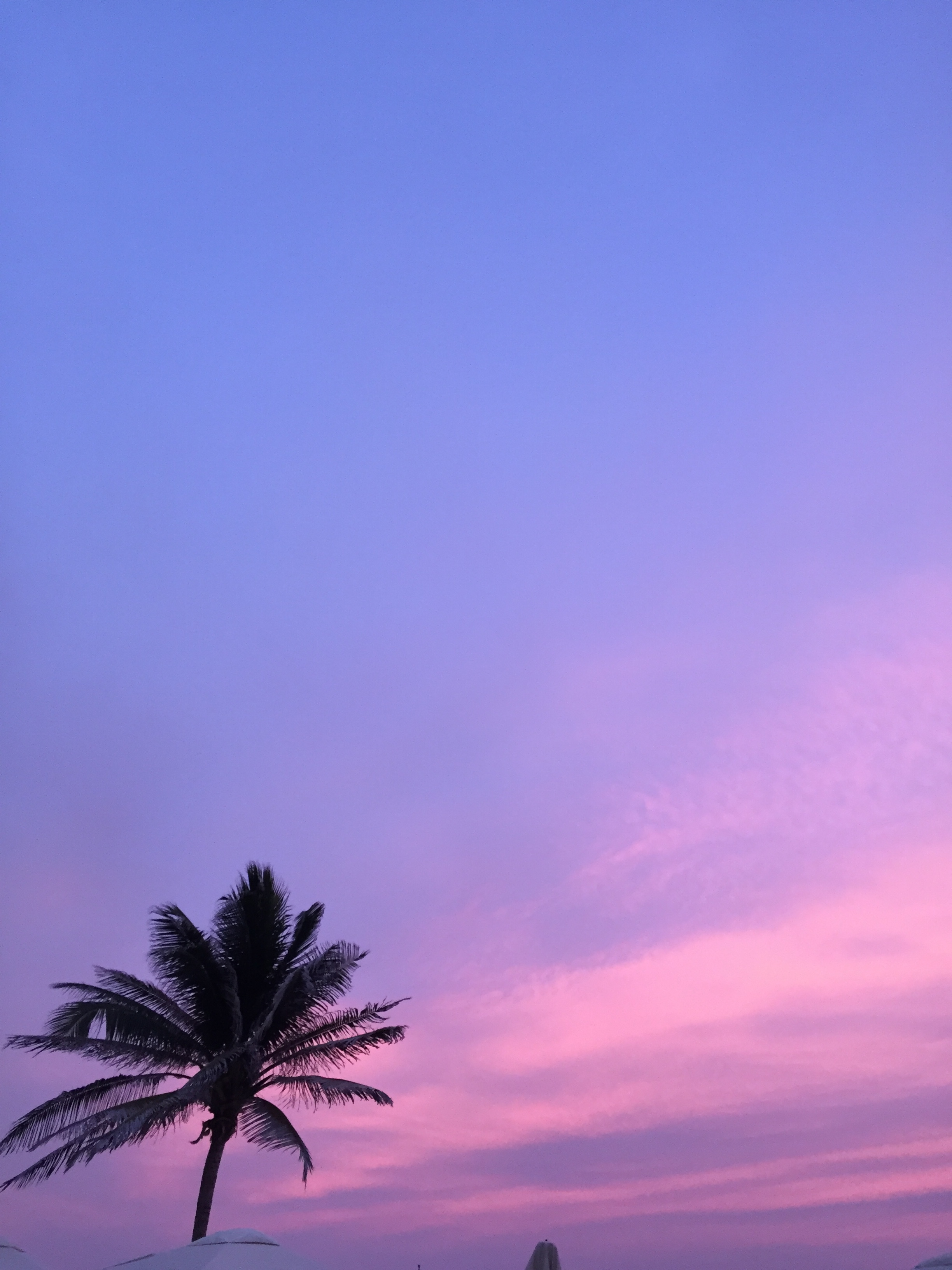 epic sunsets!