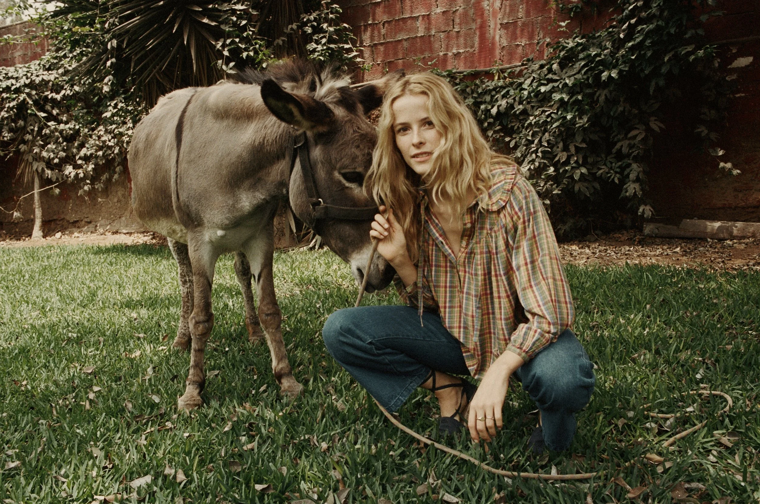 Billie_RainbowPlaid.jpg
