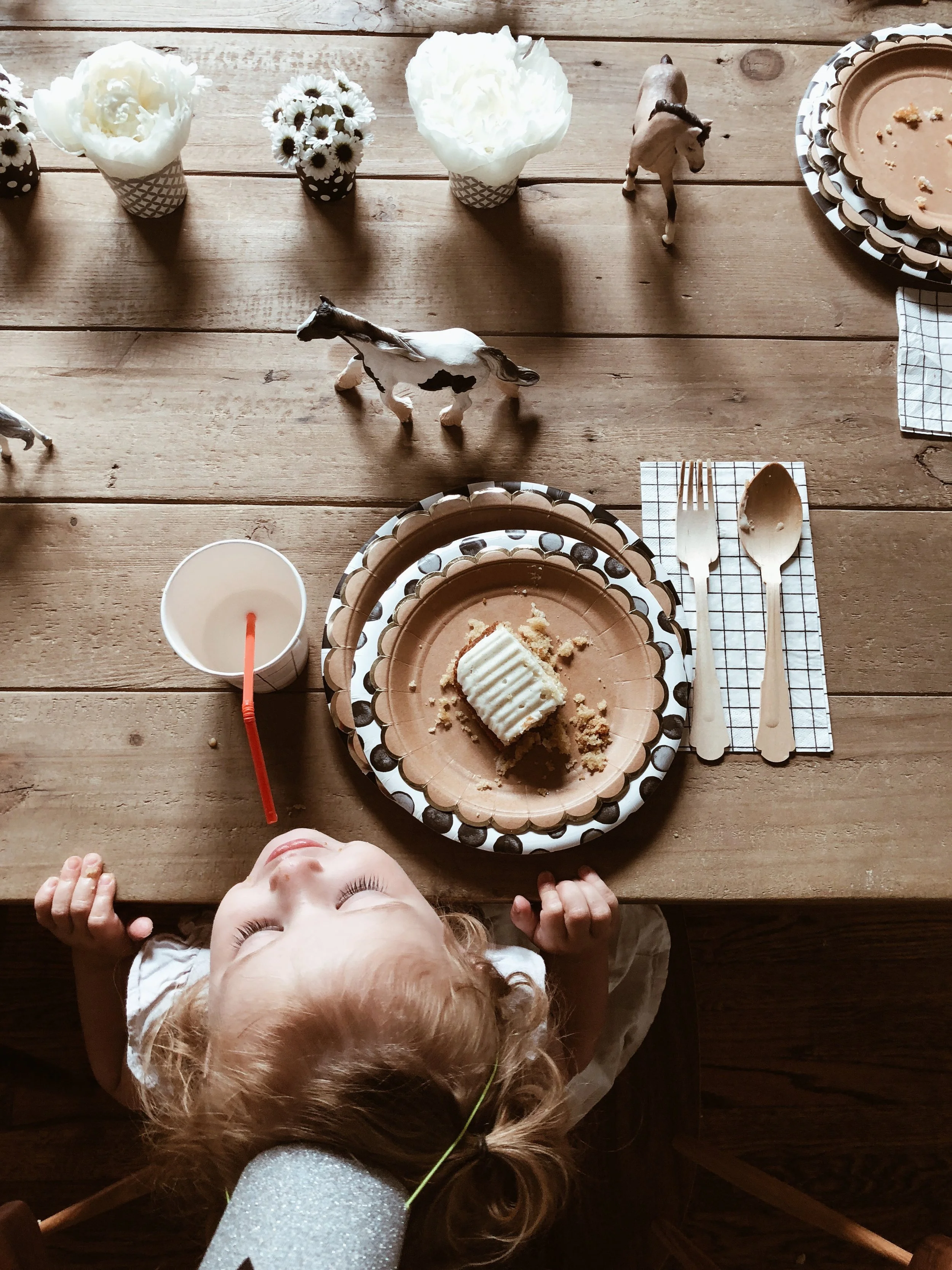 Geese & Ganders: Modern Merriments | @ToJaneandRose