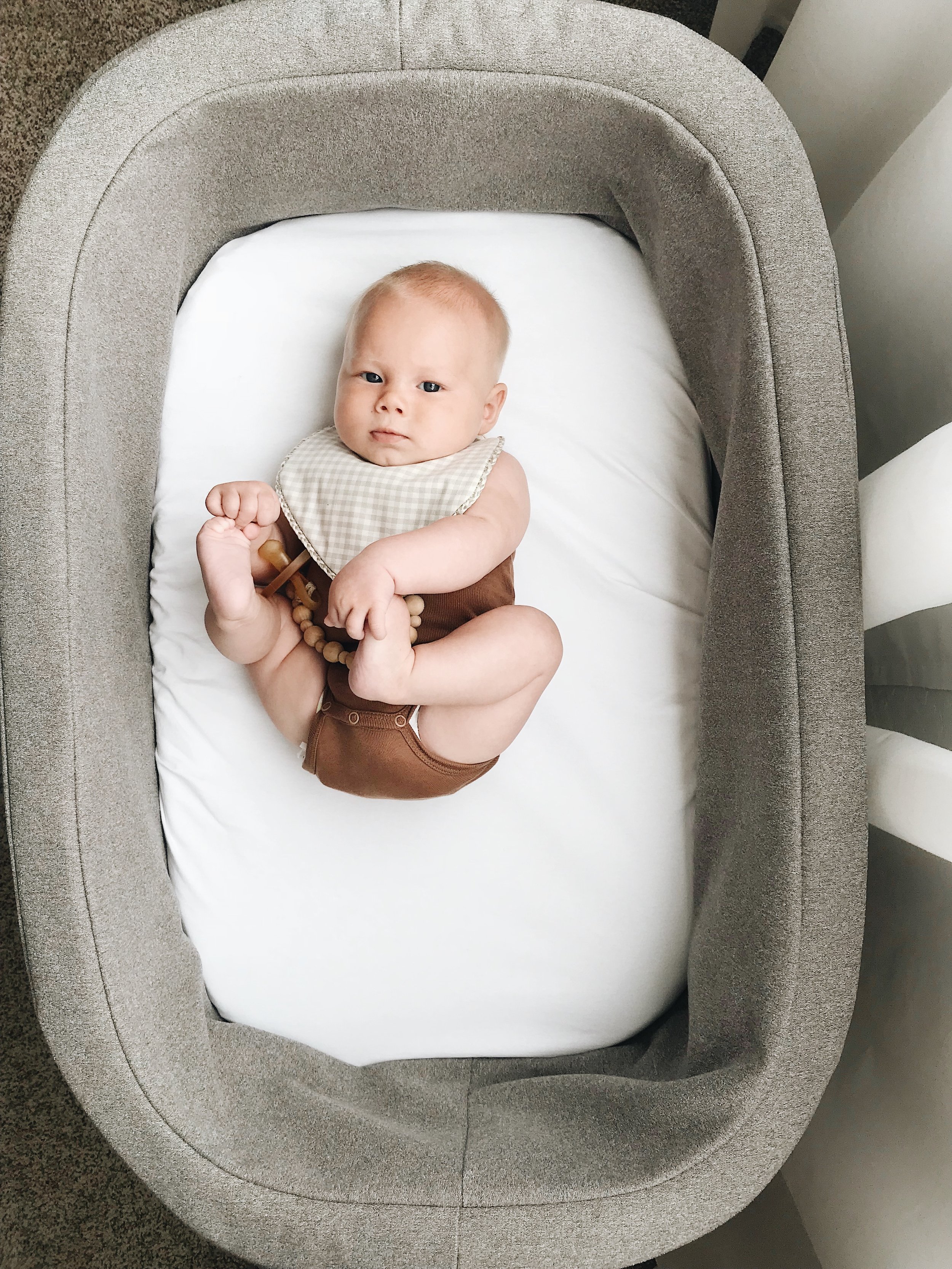 monte design bassinet