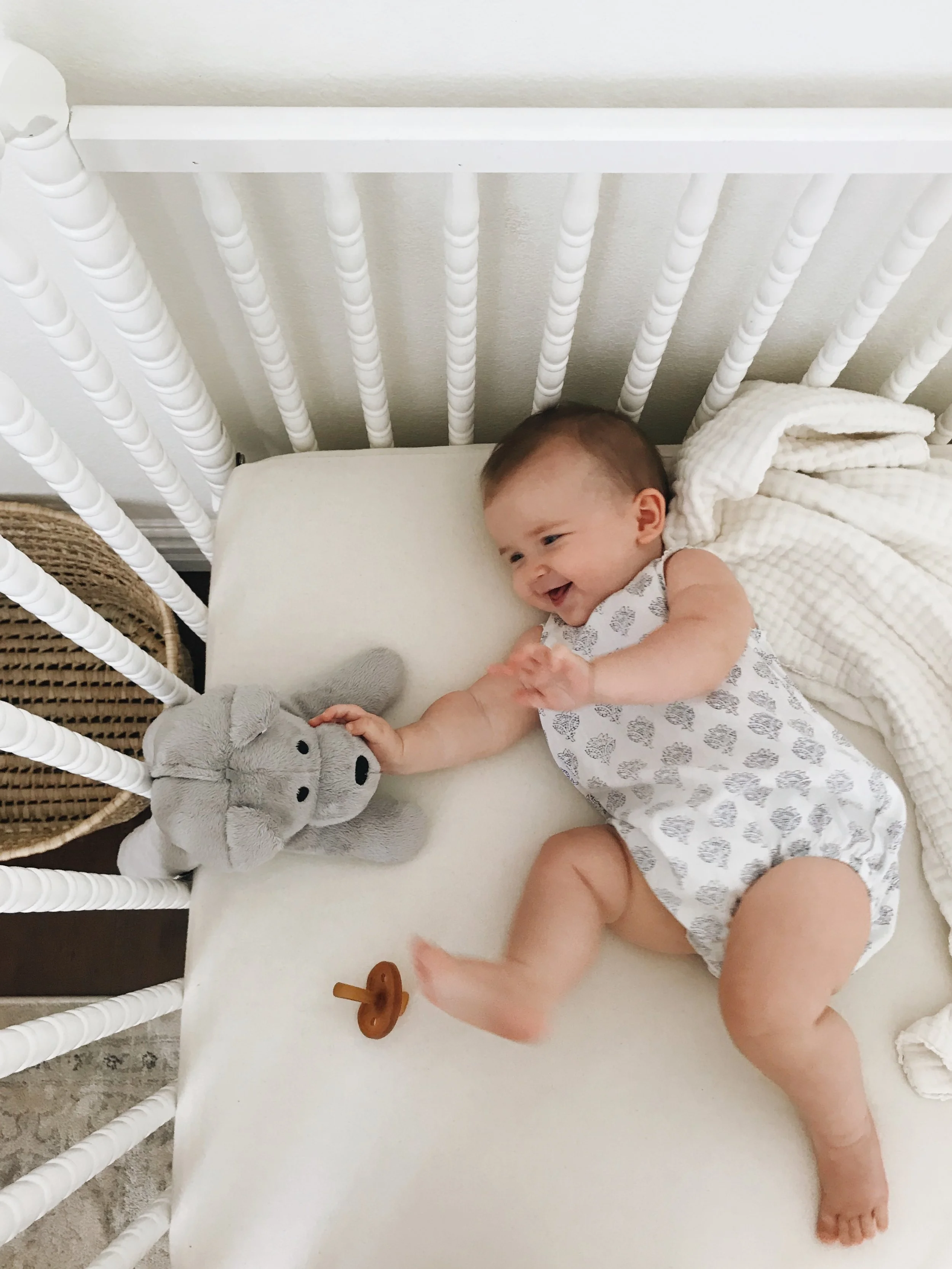 Whisbear: The Humming Bear | @Juleyak