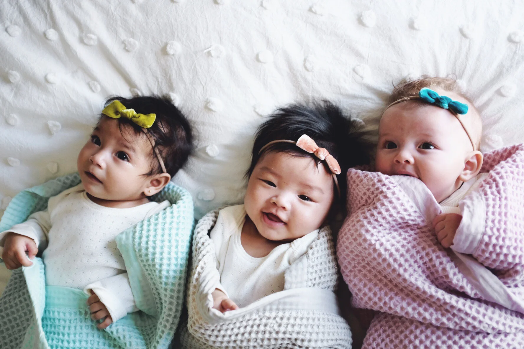 Wunderkin Velvet Collection 