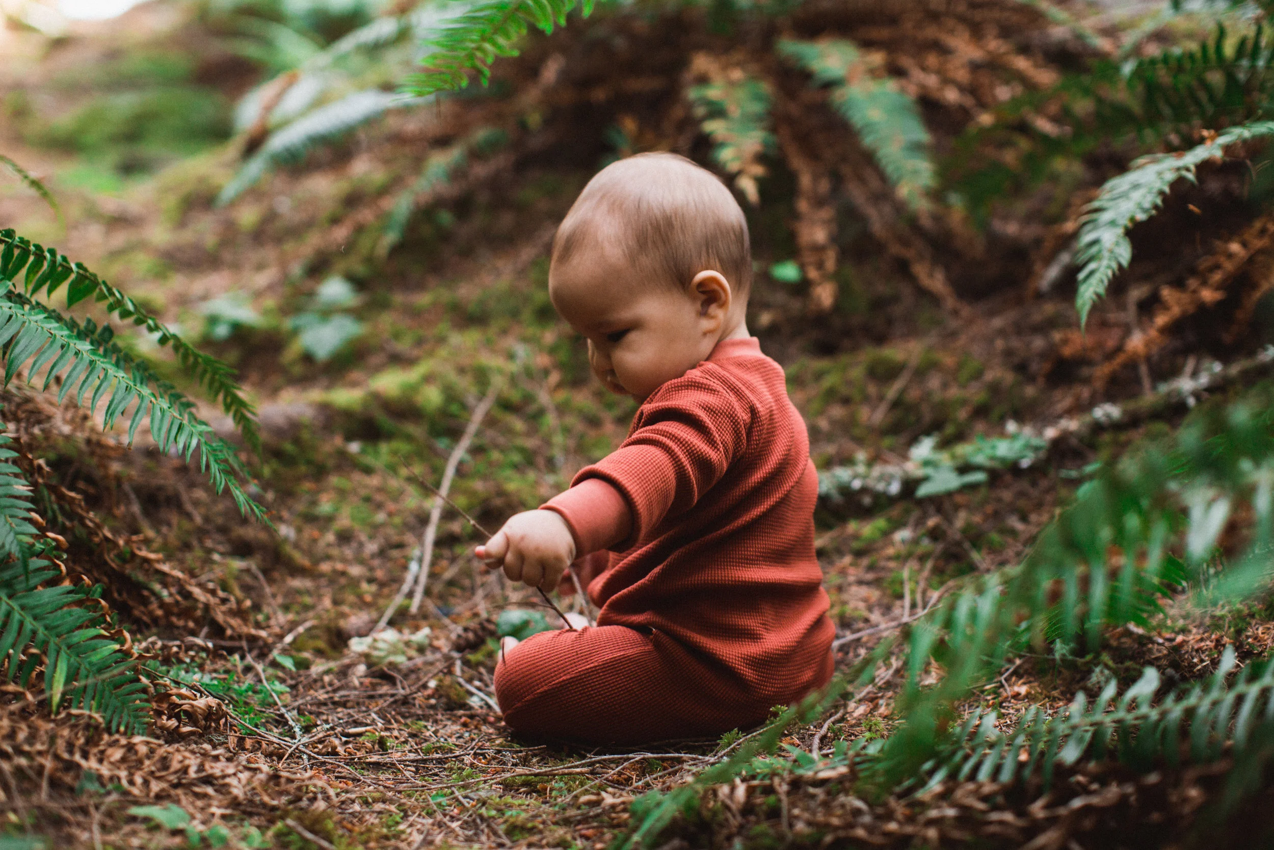 noble_pjs_woodlands_028.jpg