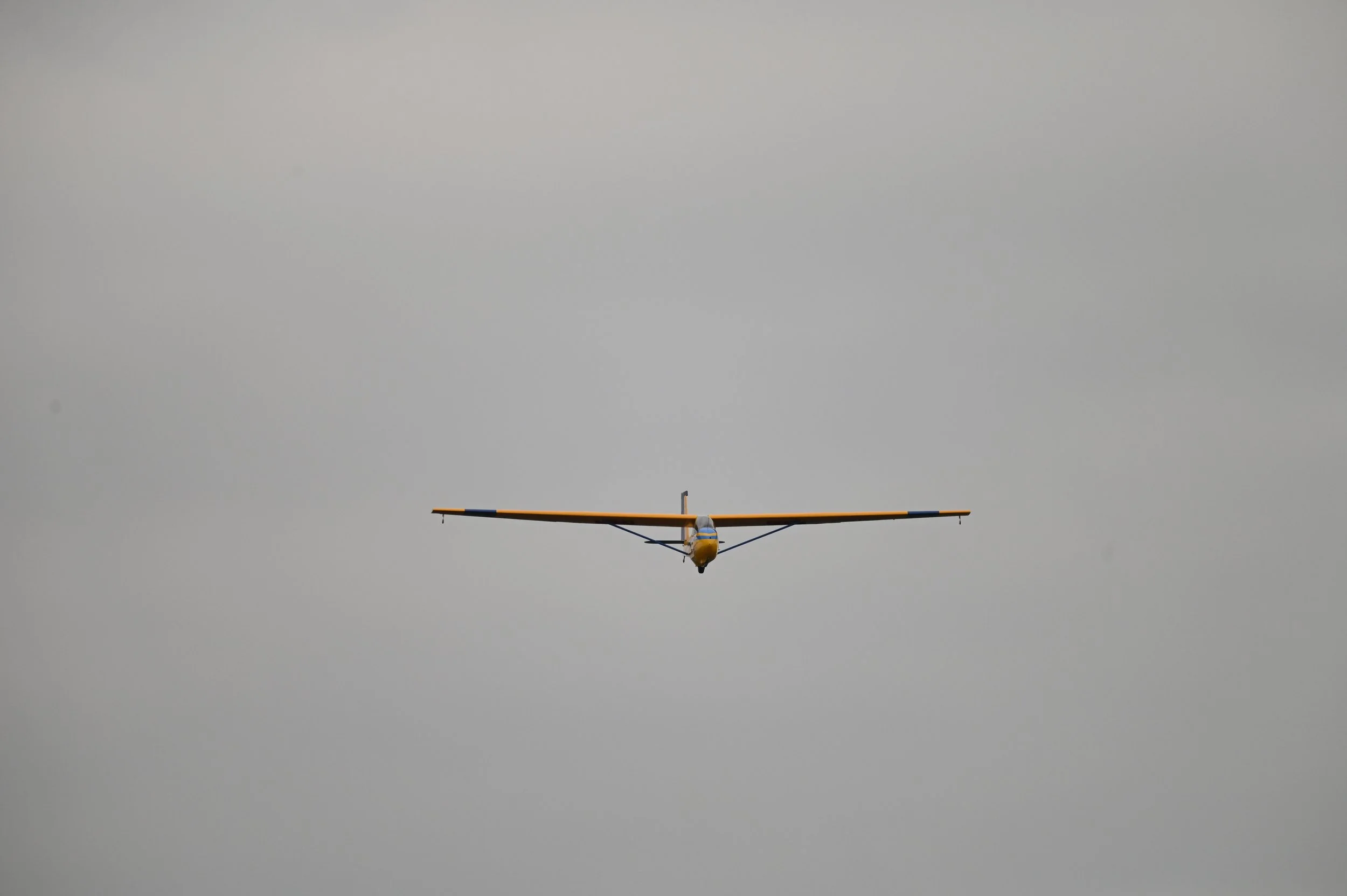 DSC_6469.JPG