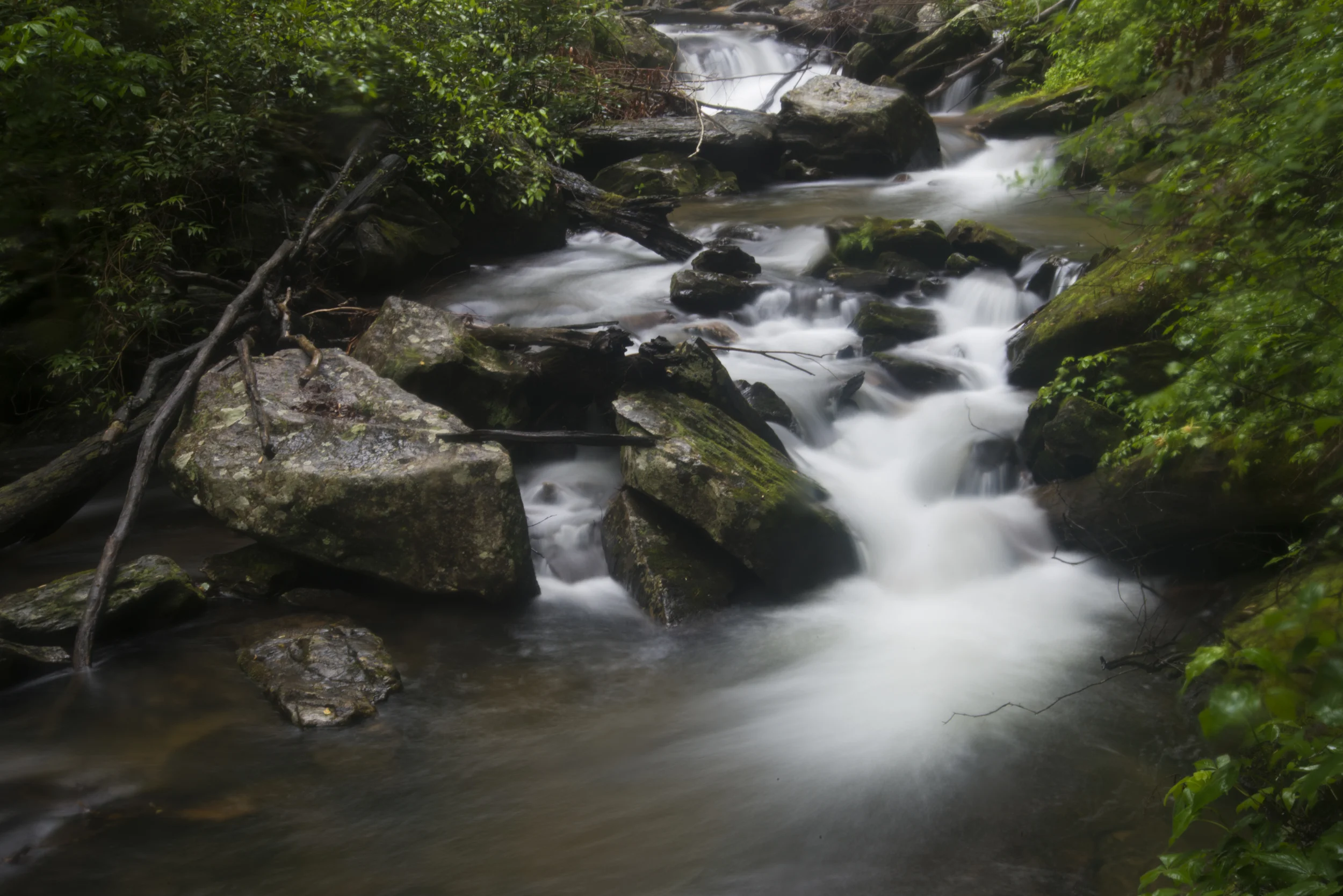 _DSC4403.jpg