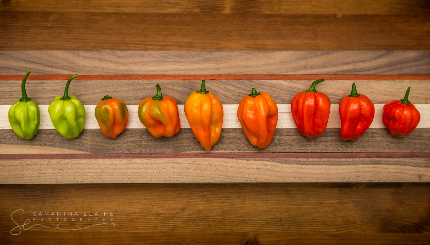 habaneros-8528.jpg